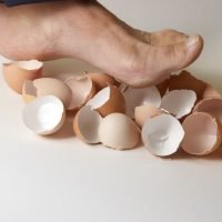 eggshells